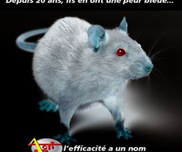 Actisud image 1