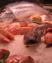 Novameditpesca Sàrl Bild 1