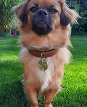 Dreherei Rieger OHG Bild 8