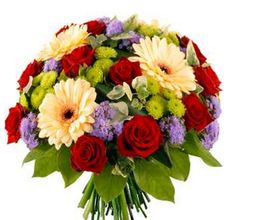 Euphorbia image 1