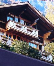 Micheli GmbH - Holzfassade