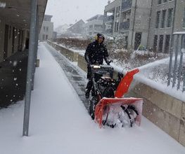 Hübscher Garten AG Bild 2