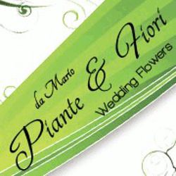 Piante  e Fiori da Mario logo
