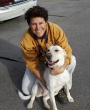 Clayton Animal Hospital image 2