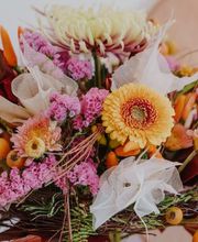 Blumen Schweizer Bild 2