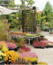 Müko Gartengestaltung AG Bild 6