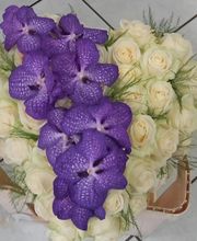 Flor Décor image 12