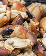 Au Plaisir Iode image 9