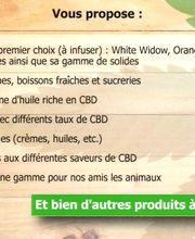 Must CBD Shop image 9