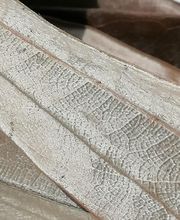 FEUILLE D'ARGENT SARL image 2