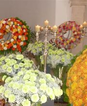 Blumen Fleischli Bild 10