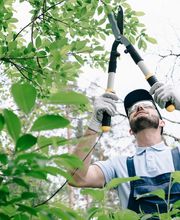 Le Petit Madéré à votre Service Montesquieu Volvestre image 2