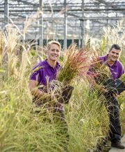 Plantencentrum Velden afbeelding 2