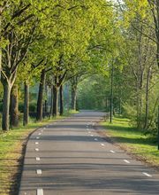 Baum & Garten Hannover Bild 3