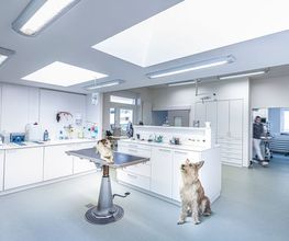 Tierklinik Rhenus AG Bild 4