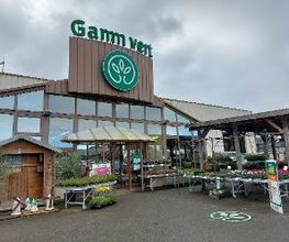 GAMM VERT image 1