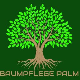 Baumpflege Palm