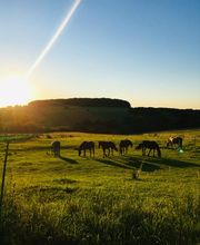 Black Sky Ranch Bild 4