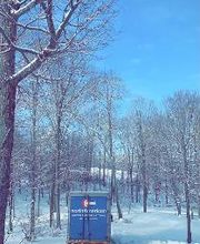 Hanover Transfer & Storage image 2