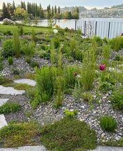 Bernet Gartenbau AG Bild 5