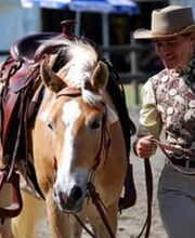 Birkenhof Pferdepension Bild 4
