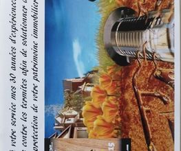 Protection Termite image 17