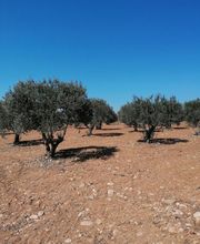 Hôtel Les Deux Lions B & B image 1