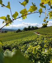 La Vaudoise des Quatre Vents Bild 9