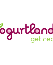 Yogurtland Alameda image 4