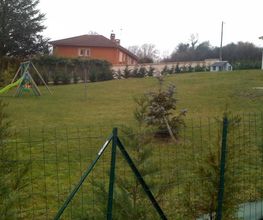 Archytema image 5