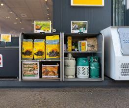 Shell Bild 12