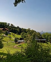 Ruedi Schneider Bild 1