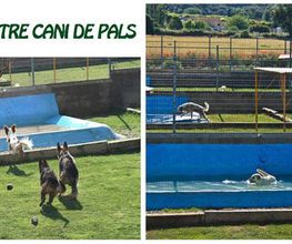 centre-cani-de-pals-instalaciones-05.jpg