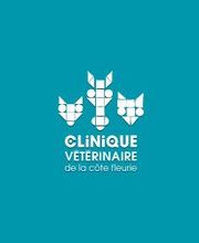 Clinique Vétérinaire De La Côte Fleurie image 3