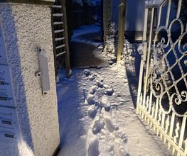 IMG_0170.jpeg