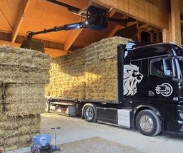 Bosson transports Sàrl Bild 3