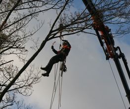 Kraneinsatz_164.jpg