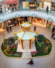 Rathaus Center Dessau Bild 7