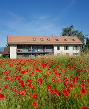 Dominique Baldi Entreprises SA Bild 14