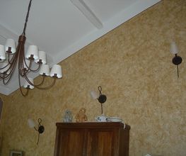 M. Pachot Bruno image 2