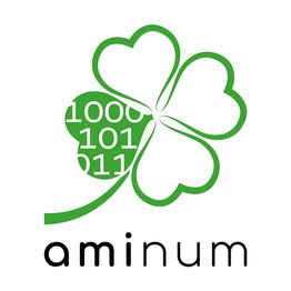 Aminum