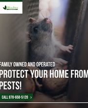 Biggins Exterminating image 8