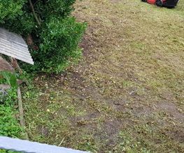 Schäfer Haus- und Gartenservice Bild 9