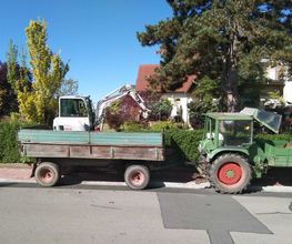 1000038240.jpg