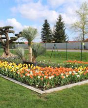 Jeromes Concept image 4