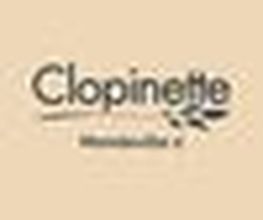 Clopinette Cigarette Électronique image 1