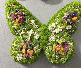 Blumen Kaiser, Michael Kaiser Bild 13