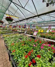 Pépinières Bourquin image 10