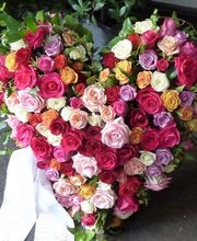 Gärtnerei Mohring Bild 11