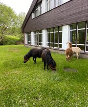 Hotel Lugsteinhof Bild 3